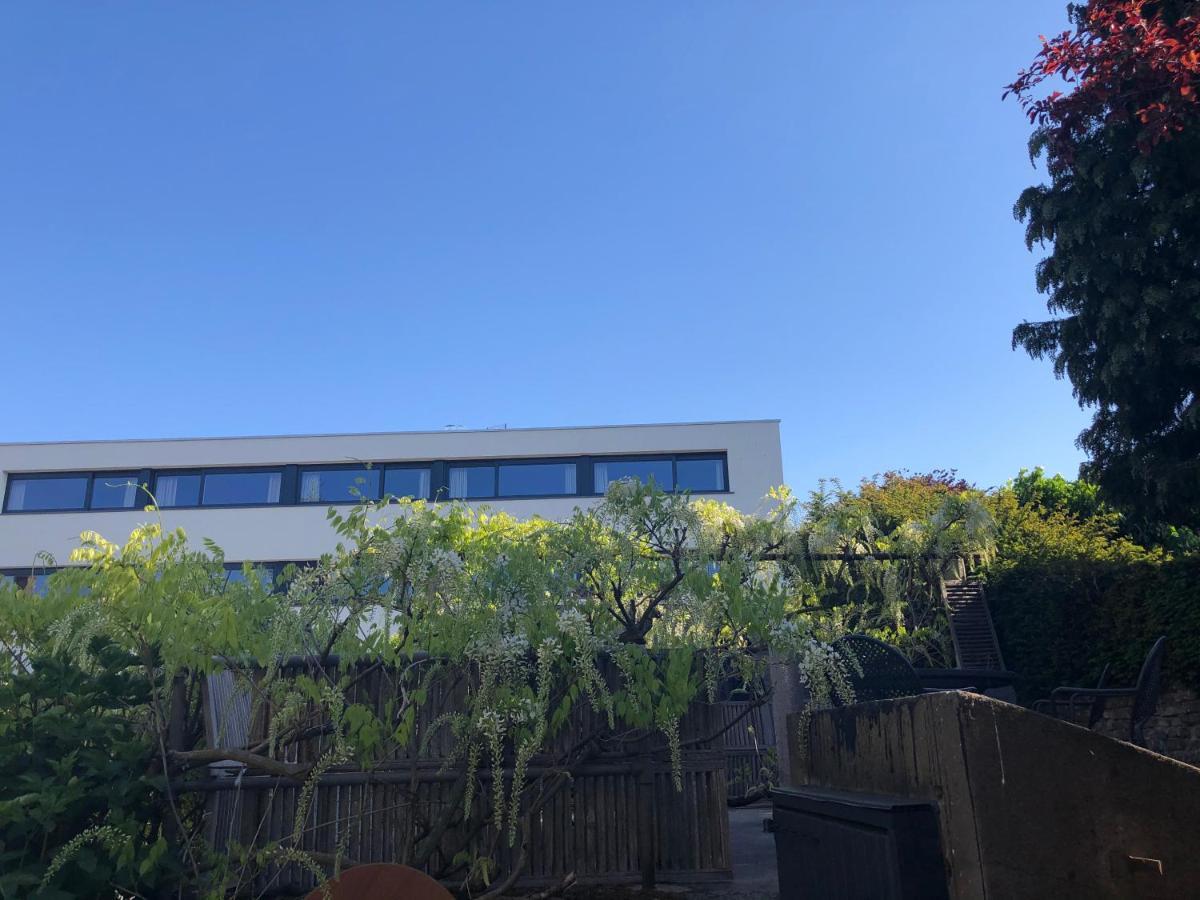 דיקסמאודה B&B 'T Withuis מראה חיצוני תמונה